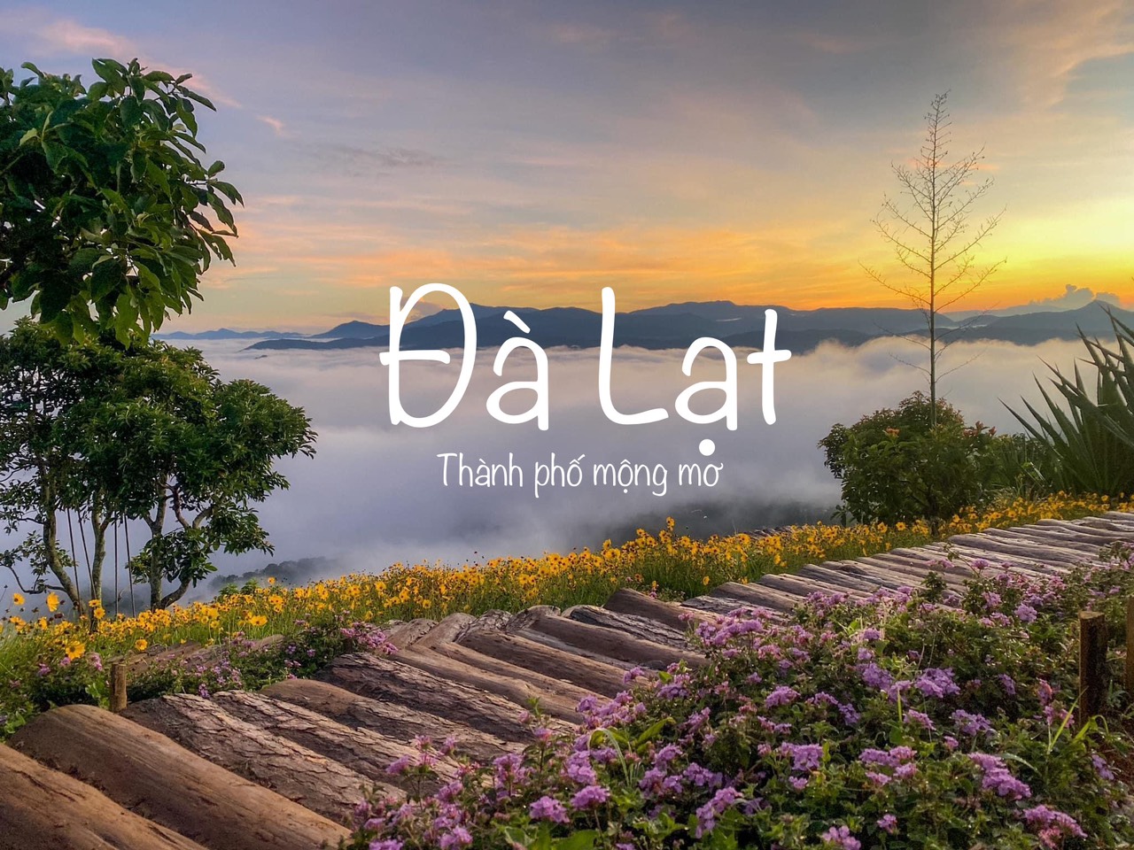 Lịch trình của tour Ghép Đà Lạt hấp dẫn mà bạn nên biết 