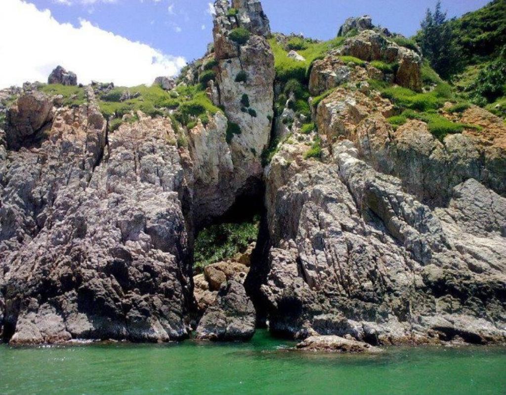 Mũi Vi Rồng
